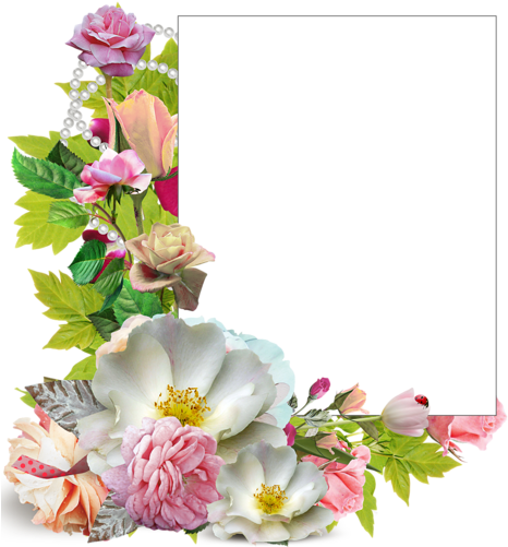 Contemporary Flower Photo Frames New Cadres Frame Rahmen - Cadres Frame Rahmen Quadro Flowers Png (566x800), Png Download