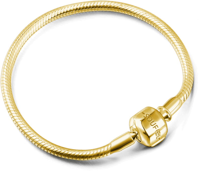 Free Png Download Classic Bracelets Soufeel Basic Bracelet - Bratara Femei Argint (850x745), Png Download