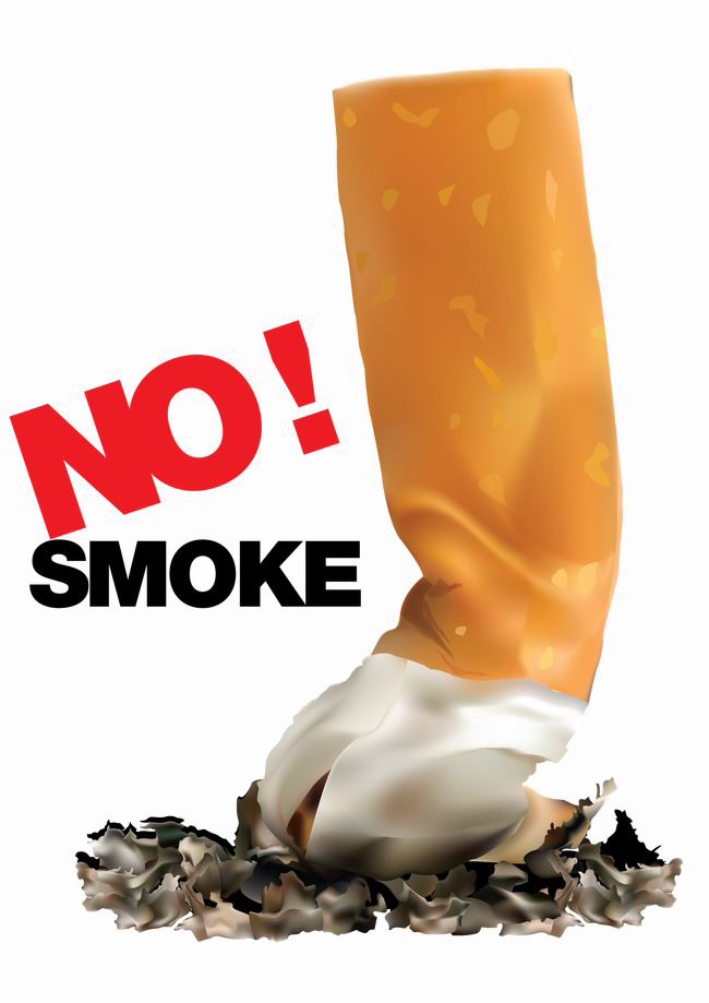 No Smoking Png Image Background (650x919), Png Download