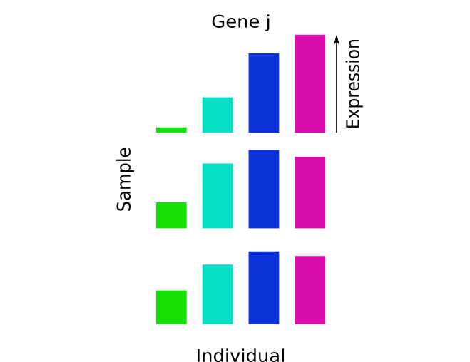 Powerful Differential Expression Analysis For Repeated - Art (659x508), Png Download