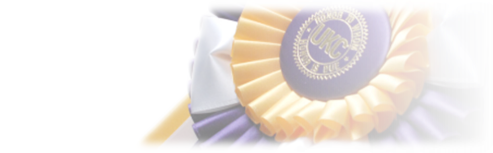 Sandwich Cookies (1000x310), Png Download