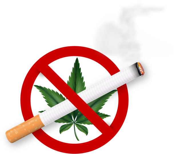 Smoking Cannabis Around Pets Could Also Cause Respiratory - Drugs De Addiction (770x634), Png Download