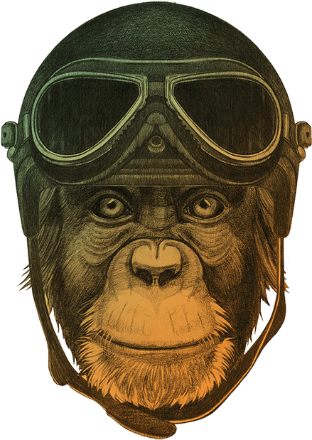 Ape Thinker's Services Background - Monos Con Casco (600x633), Png Download