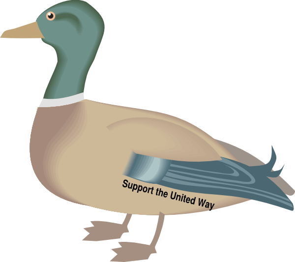 Kelly R Duck Clip Art - Duck Clip Art (600x533), Png Download