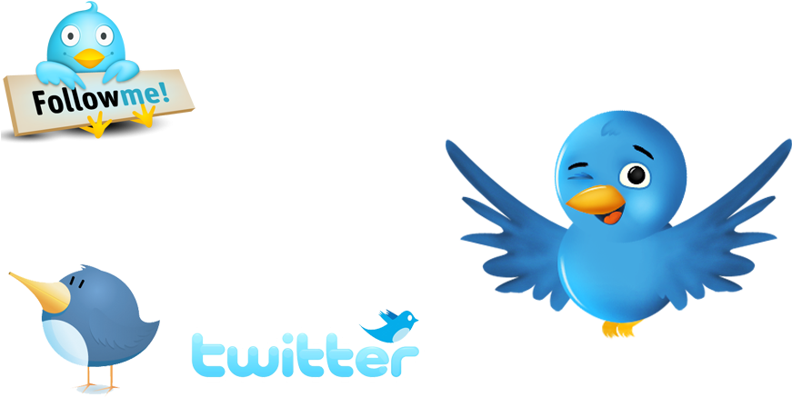 Twitter Logos - Cute Bird Transparent Background (900x500), Png Download