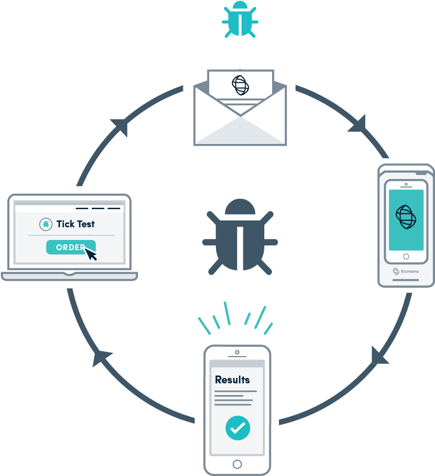 4 Simple Steps To Get Your Tick Tested - Circle Diagram (918x980), Png Download