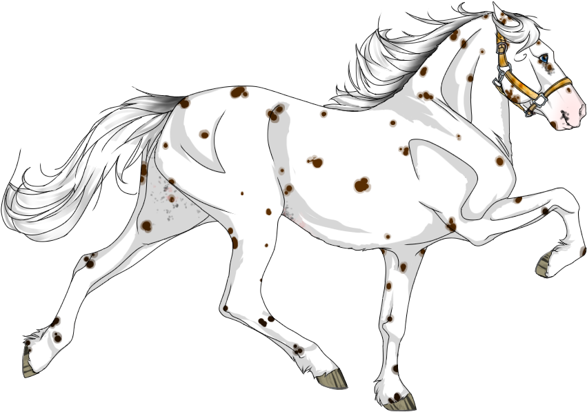 Stallion (900x600), Png Download