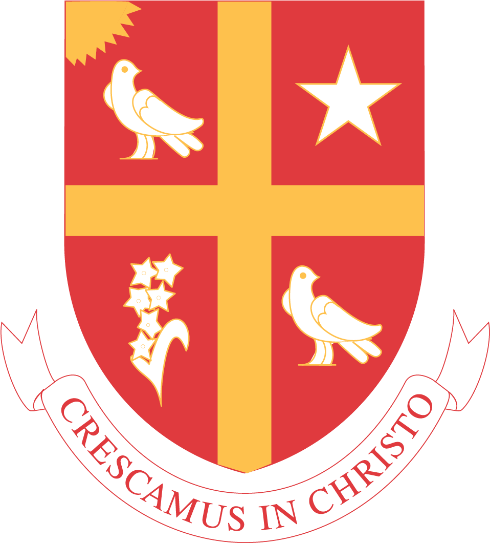 University Of St - Universidad San Thomas Houston (2500x1250), Png Download