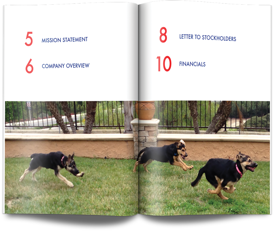 Dobermann (1024x867), Png Download