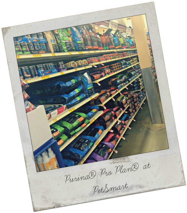 Shelf (600x684), Png Download