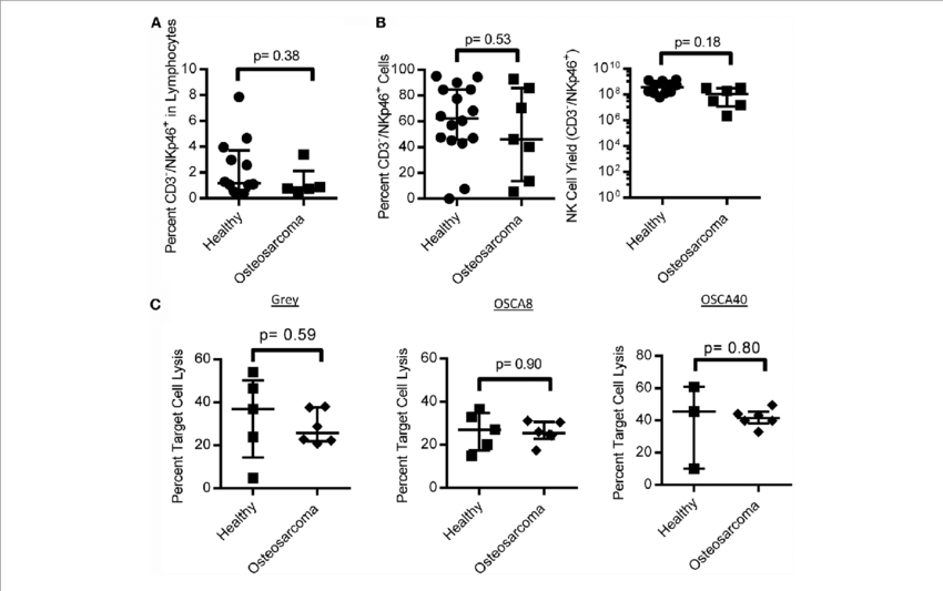 Nk Cell Numbers, Expansion, And Function In Canine - Frontiers In Immunology Nk Cells (850x533), Png Download