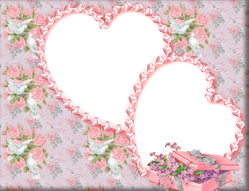 Free Png Download Wedding Photo Frame Psd Free Png - Wedding Transparent Png Frame (850x651), Png Download