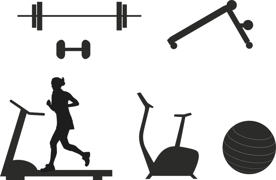 Fitness, Devices, Dumbbell, Treadmill, Ergometer, Sport - Circuit Fitness (960x626), Png Download