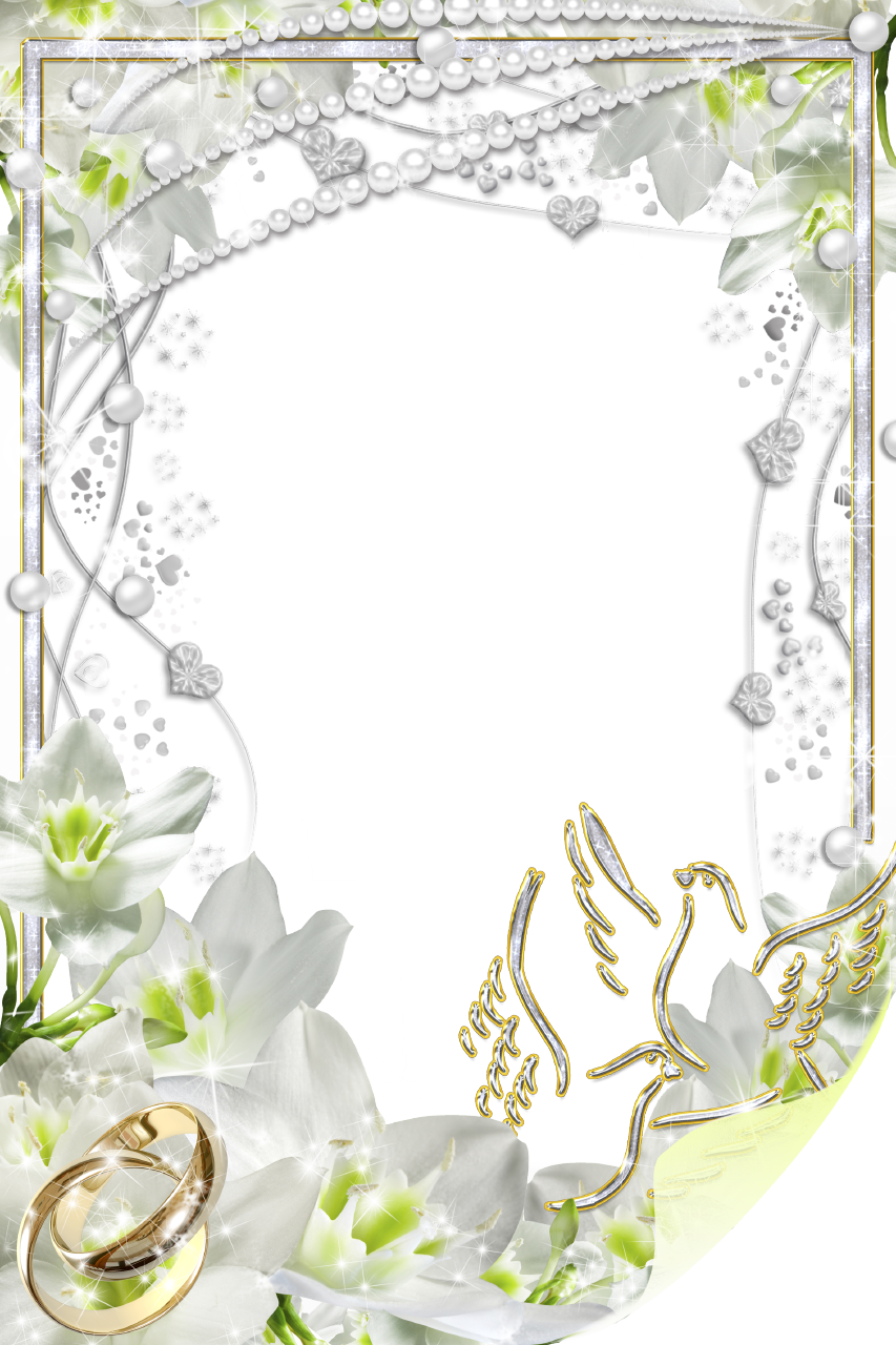 Beautiful Wedding Elements Picture Frame - سبحان الله وبحمده عدد خلقه وزنة عرشه (853x1280), Png Download