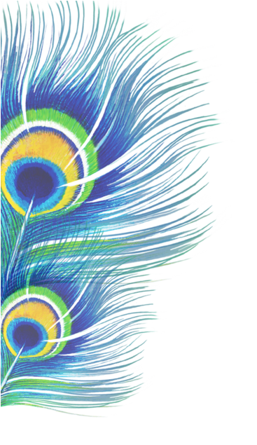 Peacock Hi 3 (1000x1689), Png Download