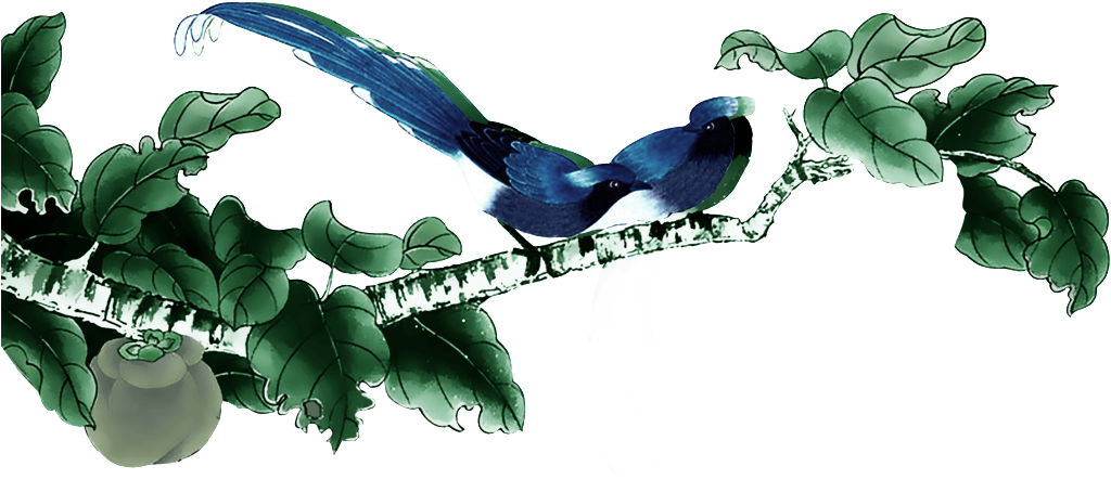 Beautiful Creative Bird Leaf Png - 工笔 画 (1024x1024), Png Download