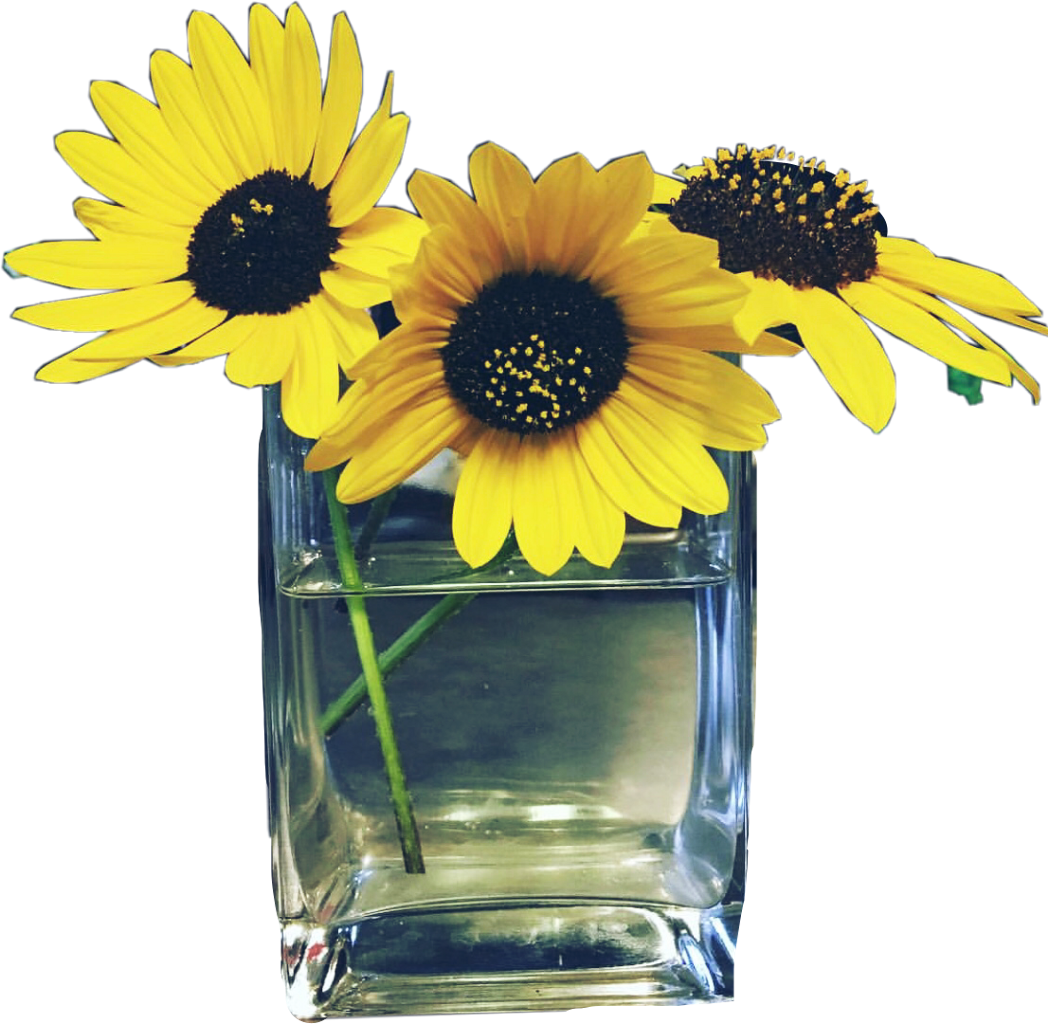 006 Flower Designs Vase Archaicawful Picsart Full - Flower (1048x1024), Png Download
