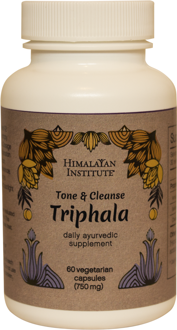 Download Purple Coneflower PNG Image with No Background