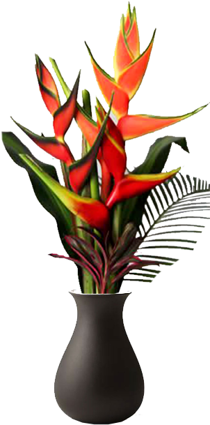 Medium - Bromelia (612x671), Png Download