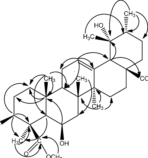 Selected Hmbc Correlations Of Compound - Diagram (622x665), Png Download