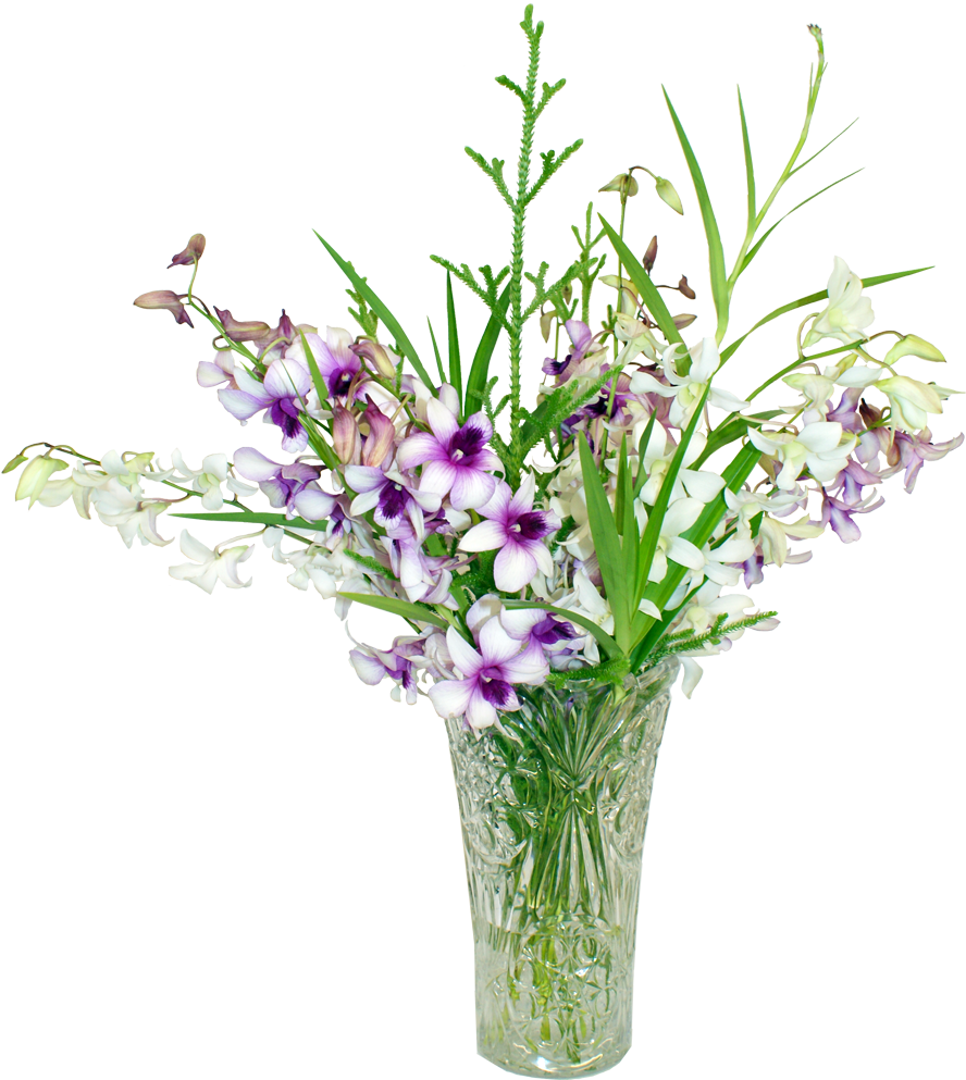 Vector Royalty Free Stock Bouquet Transparent Purple - Tropical Plant Arrangement Png (1200x1200), Png Download