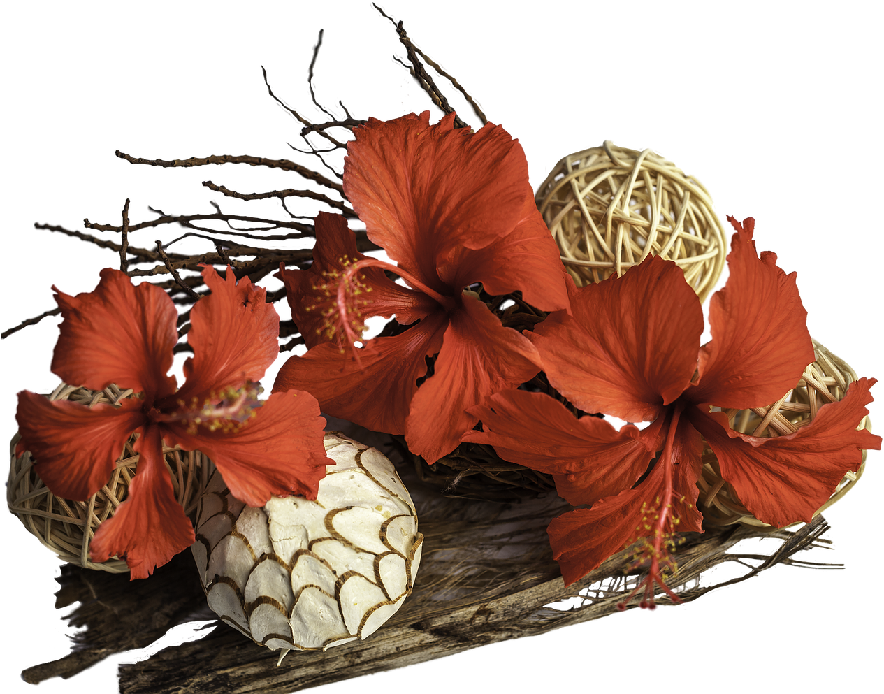 Flowers Driftwood Flower Arrangement - Mountain Garland (1280x997), Png Download