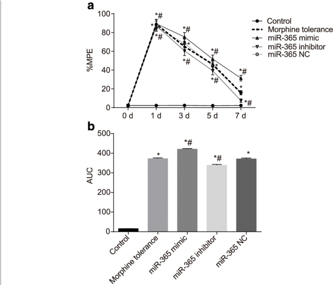 The %mpe Of Rats In Each Group After Administration - Diagram (850x584), Png Download