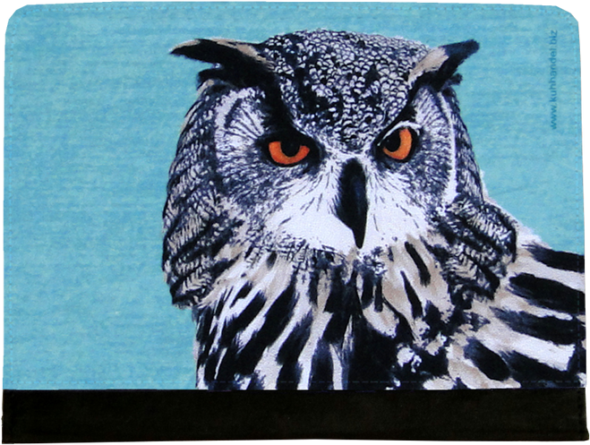 Owl Hedwig, Case For Ipad - Screech Owl (800x600), Png Download
