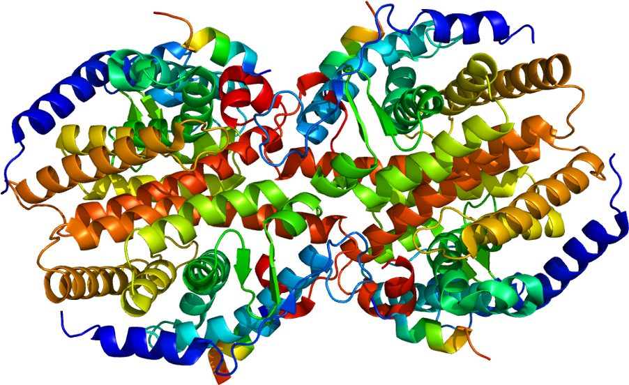 Protein Nr1i3 Pdb 1xv9 - Bead (951x601), Png Download