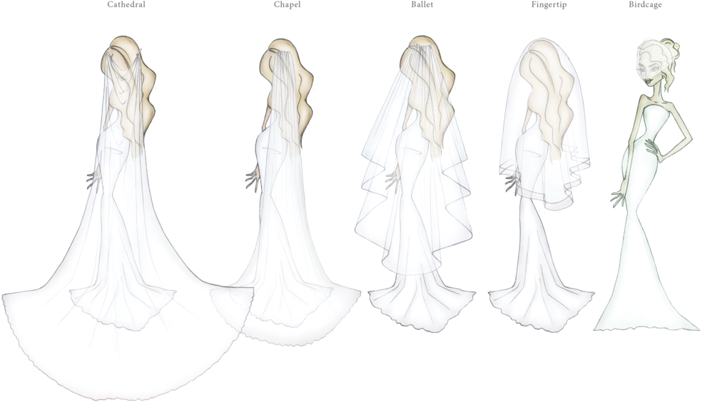 1000 X 600 7 - Type Of Veil Should I Wear (1000x600), Png Download