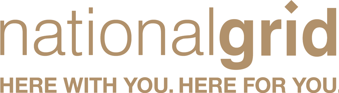 National Grid Gold-national Grid - National Grid (1315x600), Png Download