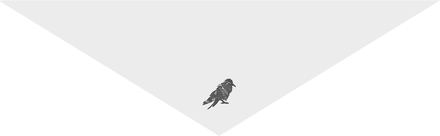 Parrot (1400x519), Png Download