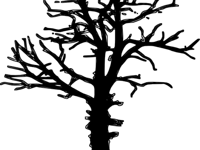 Drawn Dead Tree Leafless - Free Dead Tree Vector (640x480), Png Download