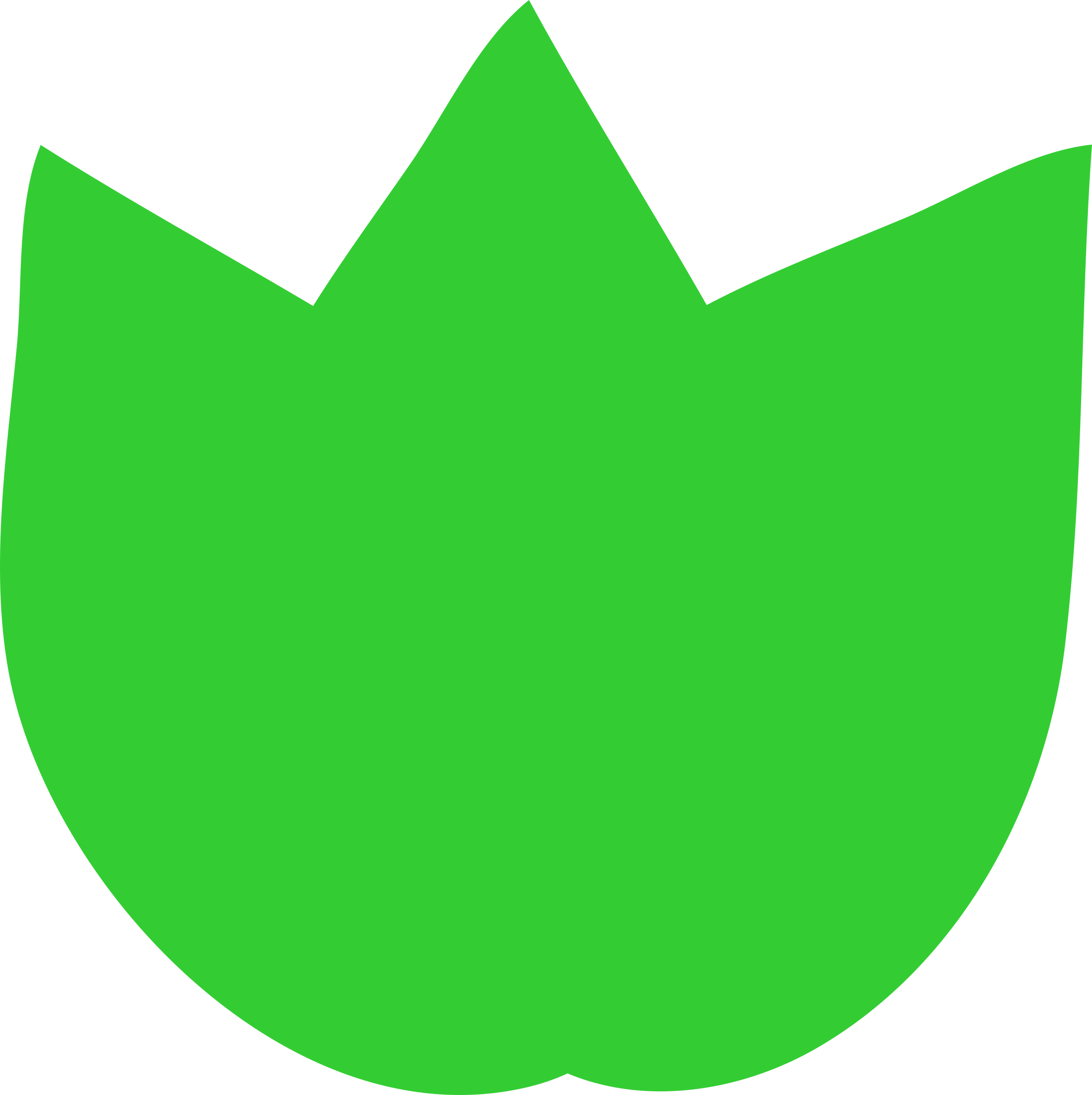 This Free Icons Png Design Of Tree Leaf (2393x2400), Png Download