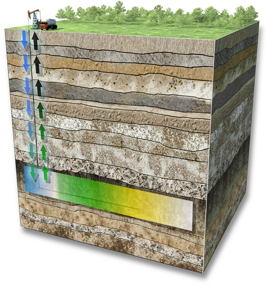 T-a02 - Plank (600x586), Png Download