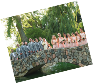 Loon (1024x323), Png Download