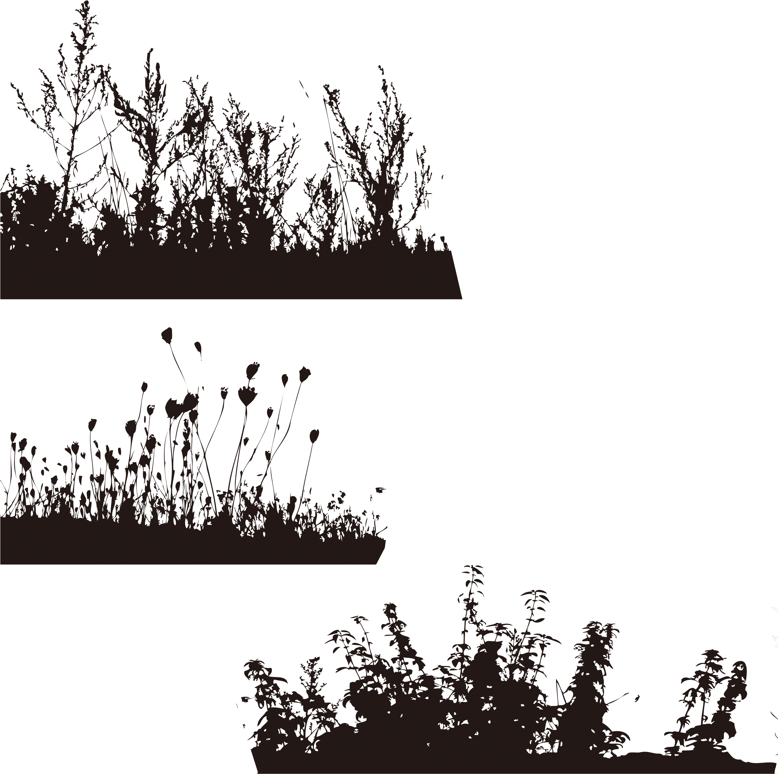 Tree Wallpaper Grass Transprent - Black And White Grass Png (2500x2500), Png Download