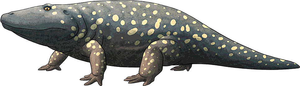 Tumblr Obfoyks8wb1s5f2yxo1 1280 - Prehistoric Amphibian Png (1000x325), Png Download