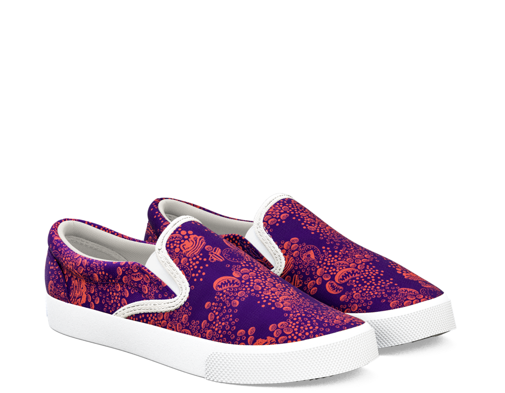 Shoe (1024x1024), Png Download