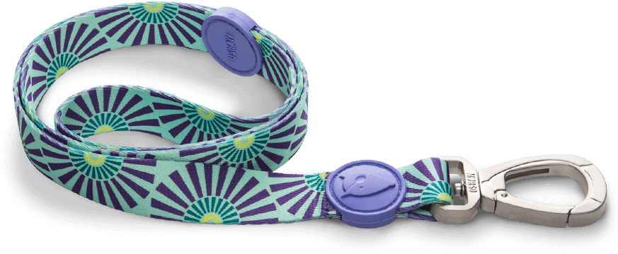 Previousnext - Belt (882x589), Png Download