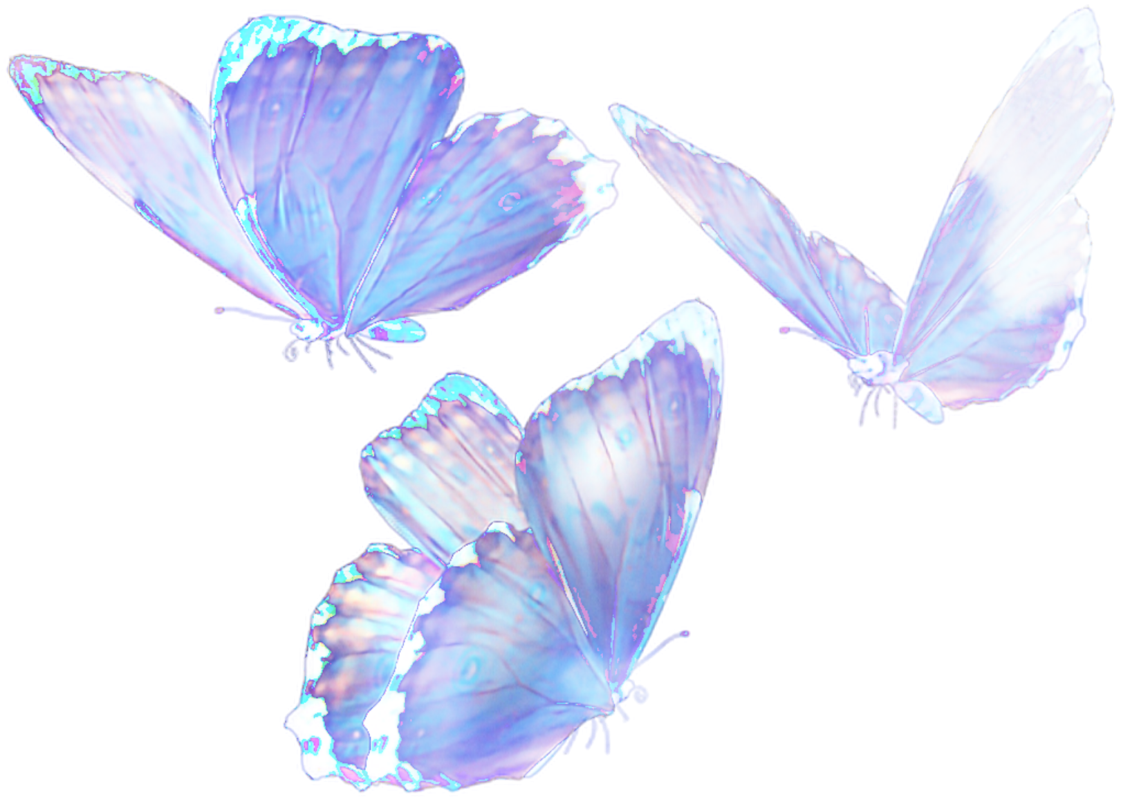 Flying Blue Butterfly