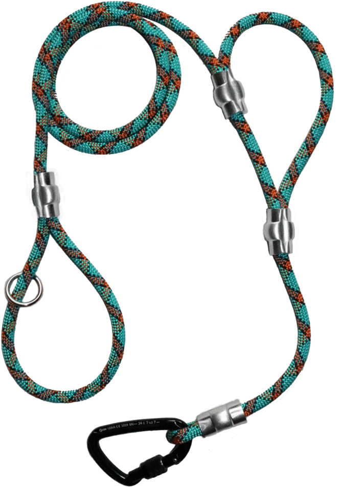 Training Leash, Dual Handle Leash, Traffic Control - Belay Device (776x1024), Png Download