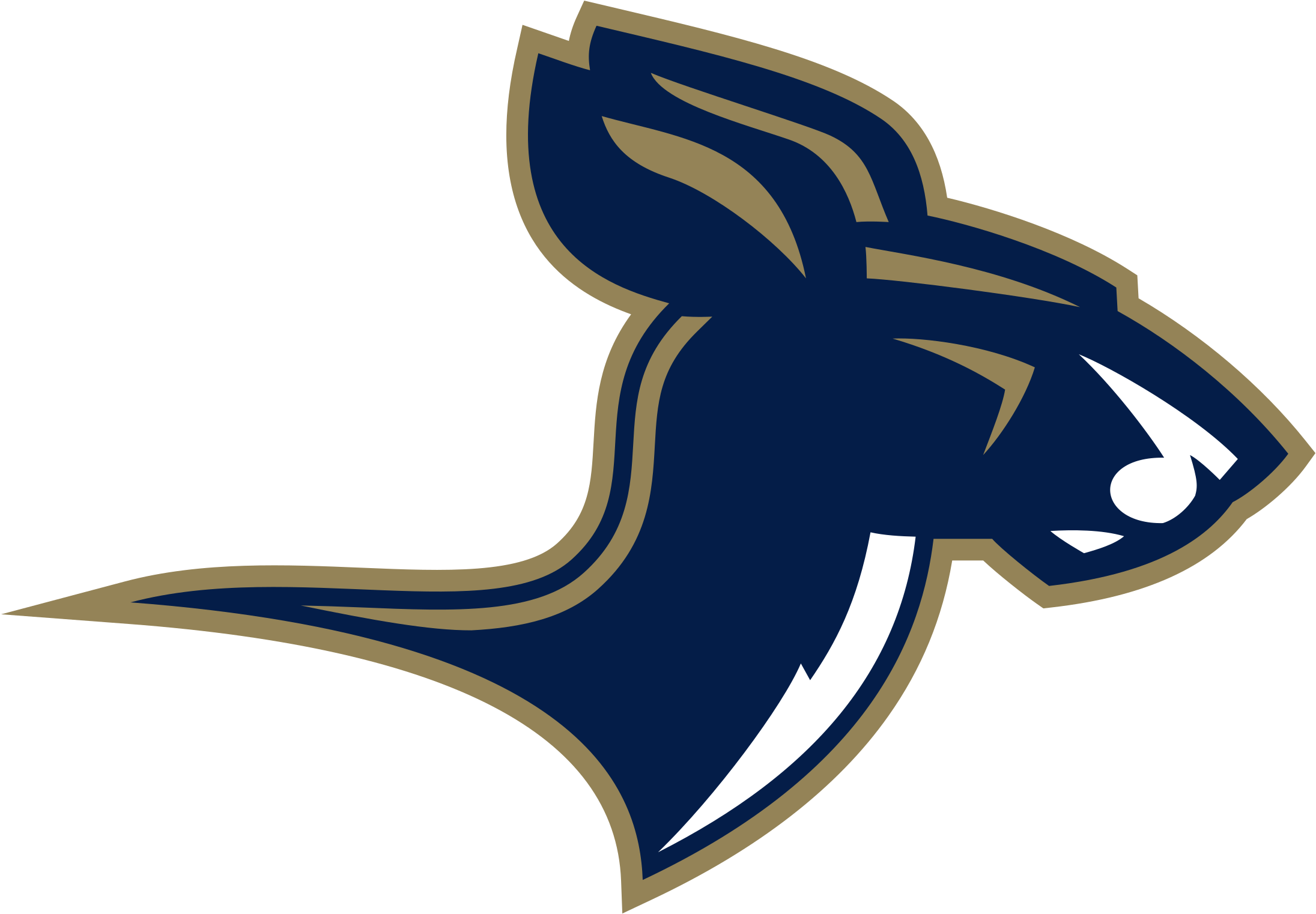 Akron Zips 04 Logo Png Transparent - Akron Zips (2400x2400), Png Download