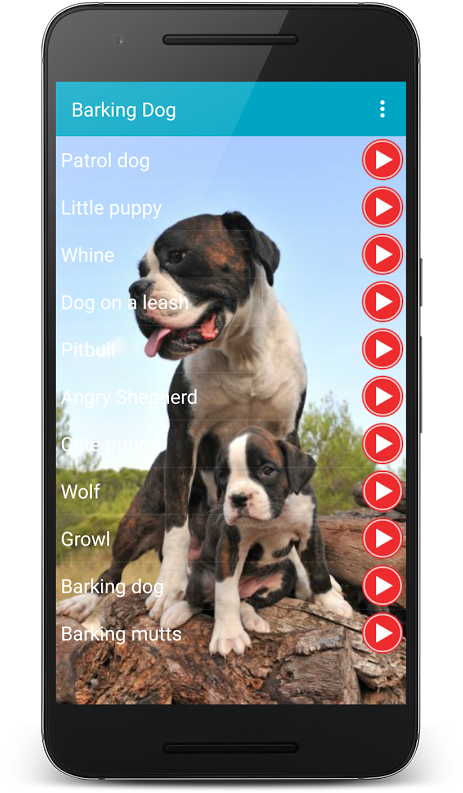 X - - Dogo Argentino X Boxer (504x900), Png Download