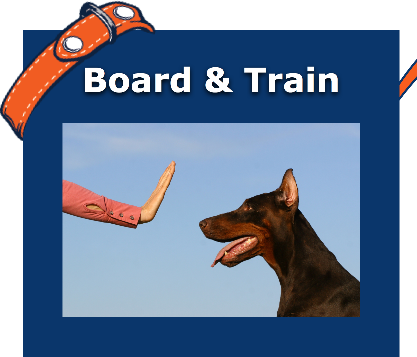Box1 - Off Leash K9 Training (1621x1455), Png Download
