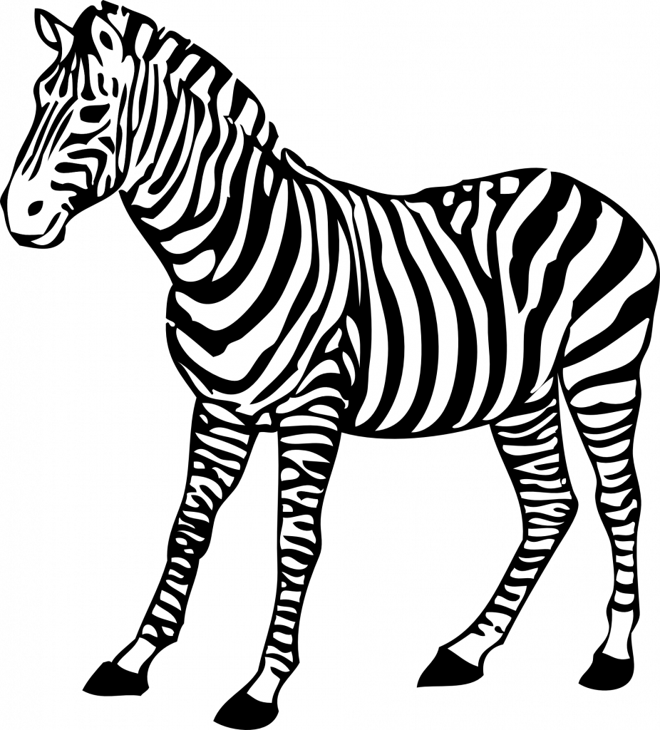 Zebra Pictures To Print - Coloring Images Of Zebra (926x1024), Png Download