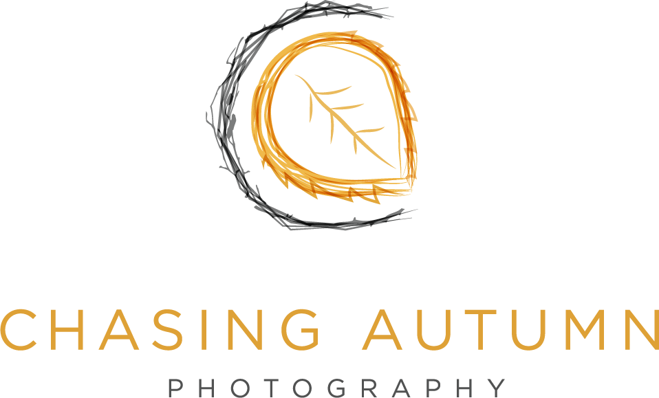 Grad Hat Png (958x579), Png Download