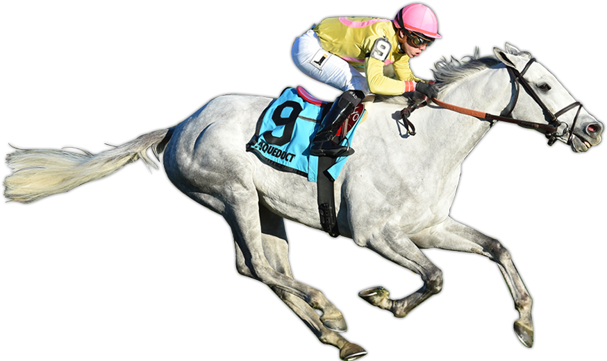 Mr Maybe Wins The G3 Red Smith - Racing Horse Cut Out (900x550), Png Download