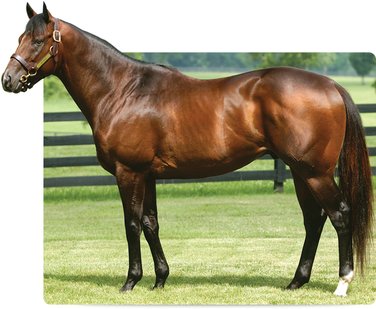 Sky Mesa (783x632), Png Download