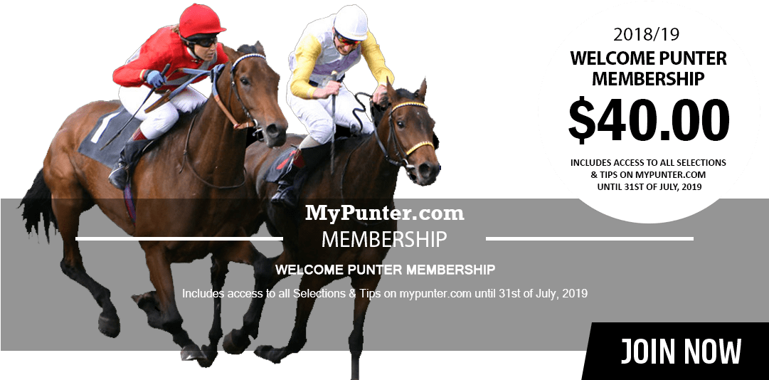 Horse Racing (1080x572), Png Download